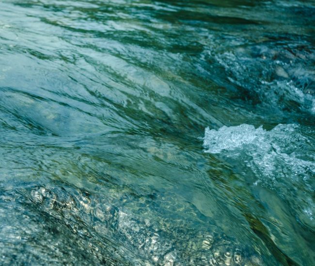 River and Catchment Management