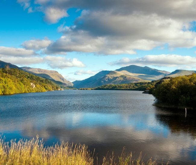 Biosolids Management System for Welsh Water