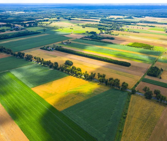 Defra Group Bodies & UK Paying Agencies